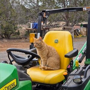 We Appreciate Support, Purchases & Shares🩷Ray Family Farm LLC Farm & Sanctuary